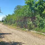 Sabareni, lot de casa 500 mp, curent langa teren